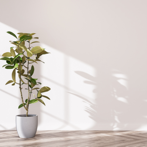 Behangen met vliesbehang